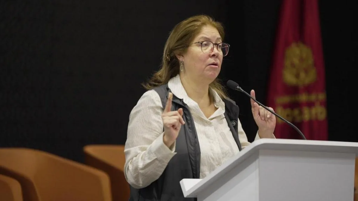 ‘Without fear of being wrong, the information provided by the Registrar's Office demonstrates technical consistency’: Alejandra Barrios, director of the MOE