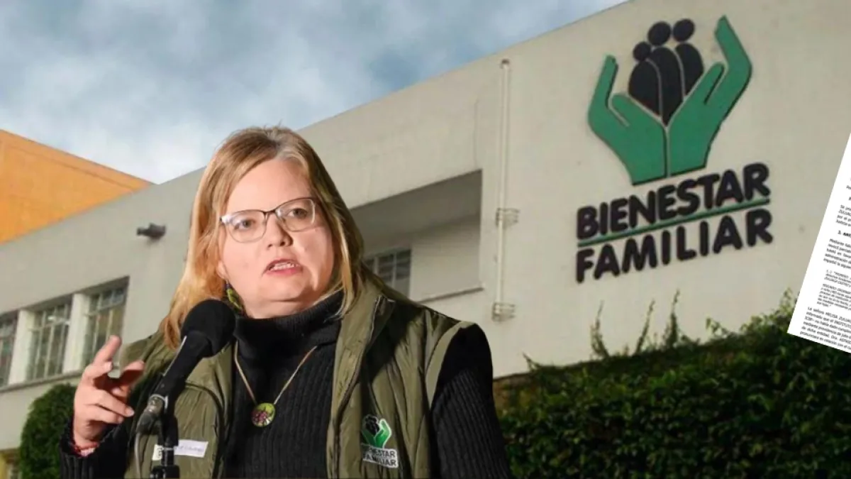 They declare the ICBF director in contempt for the alleged disappearance of two minors; the court ordered her to be identified individually
