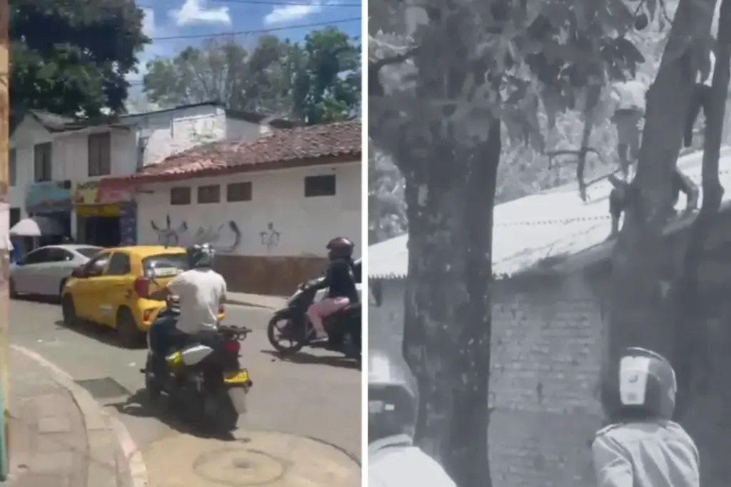 Fuga de presos en Popayán.