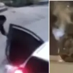 Video revealed of the pursuit in which foreigners accused of murdering a ride-sharing driver in Bogotá were captured: the car overturned
