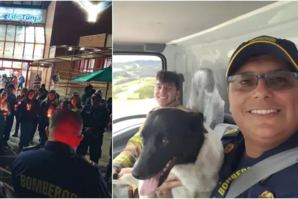 Comandante de Bomberos lucha por su vida tras brutal golpiza por reclamar a hombre que recogiera heces de su perro en Tunja: sufrió fractura de cráneo