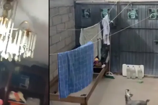 Video: así se sintió el fuerte temblor en México de magnitud 7,4 durante la mañana del viernes 17 de julio; el sismo ocurrió en el estado de Chiapas
