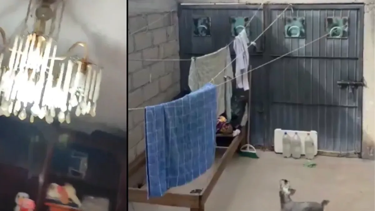 Video: así se sintió el fuerte temblor en México de magnitud 7,4 durante la mañana del viernes 17 de julio; el sismo ocurrió en el estado de Chiapas