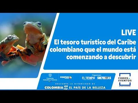Sucre se está consolidando como uno de los destinos emergentes más fascinantes de Colombia. Sus playas en el Golfo de Morrosquillo, su riqueza cultural, la calidez de su gente, su gastronomía y la autenticidad de sus experiencias están convirtiendo a este departamento en un verdadero tesoro turístico del Caribe que cada vez despierta mayor interés entre viajeros nacionales e internacionales.
En este Live de EL TIEMPO conversaremos sobre el potencial turístico de Sucre, las apuestas para fortalecer su competitividad y las razones por las cuales este destino está llamado a convertirse en uno de los grandes protagonistas del turismo colombiano.  #Sucre #CaribeColombiano #Turismo #TurismoColombia #DestinoColombia  #ForoInternacionalDeTurismo #TurismoSostenible #ELTIEMPO #Colombia#ElTiempo #NoticiasColombia #ÚltimaHora  SUSCRÍBETE: https://bit.ly/eltiempoYT  Síguenos en nuestras redes sociales:
X: https://twitter.com/eltiempo 
Facebook: https://www.facebook.com/eltiempo 
Instagram: https://www.instagram.com/eltiempo  El Tiempo es el medio líder de noticias en Colombia, caracterizado por sus investigaciones y reportajes exclusivos, sobre:  justicia, deportes, economía, política, cultura, tecnología, innovación, cambio climático, entre otros eventos noticiosos en Colombia y el mundo.  Para mayor información ingresa a: https://www.eltiempo.com  Otros canales de El Tiempo
Citytv: https://www.youtube.com/c/citytvbogota 
Bravíssimo Citytv: https://www.youtube.com/c/BRAVISSIMOCITYTV 
Portafolio: https://www.youtube.com/user/PortafolioCO 
Futbolred: https://www.youtube.com/c/FutbolRedCO