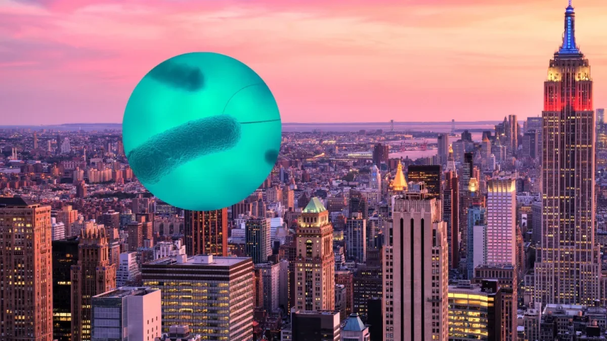 This is the disease that caused an outbreak in New York and keeps the United States on alert: traces detected in museum