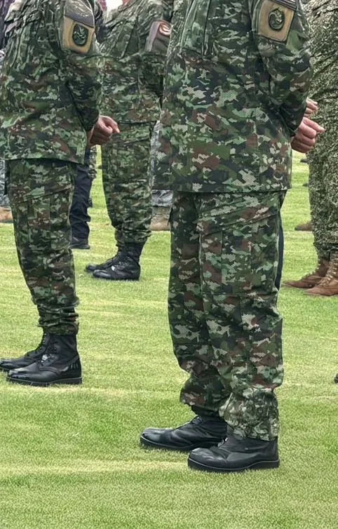 soldados