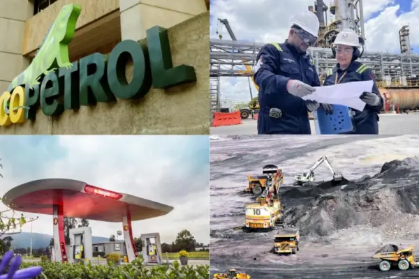 The companies that sell the most, earn the most, lose the most, the largest and the most profitable in Colombia