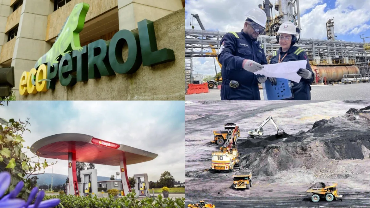 The companies that sell the most, earn the most, lose the most, the largest and the most profitable in Colombia