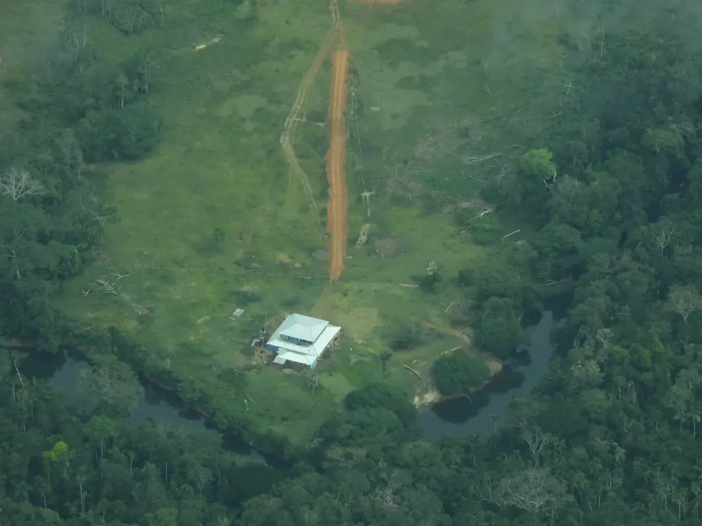 Within the Yarí-Yaguara II reservation, large deforestation clearings, illegal roads, and house constructions are now visible.