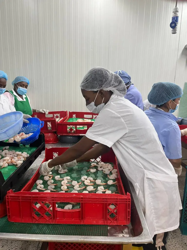 Trabajadores colombianos