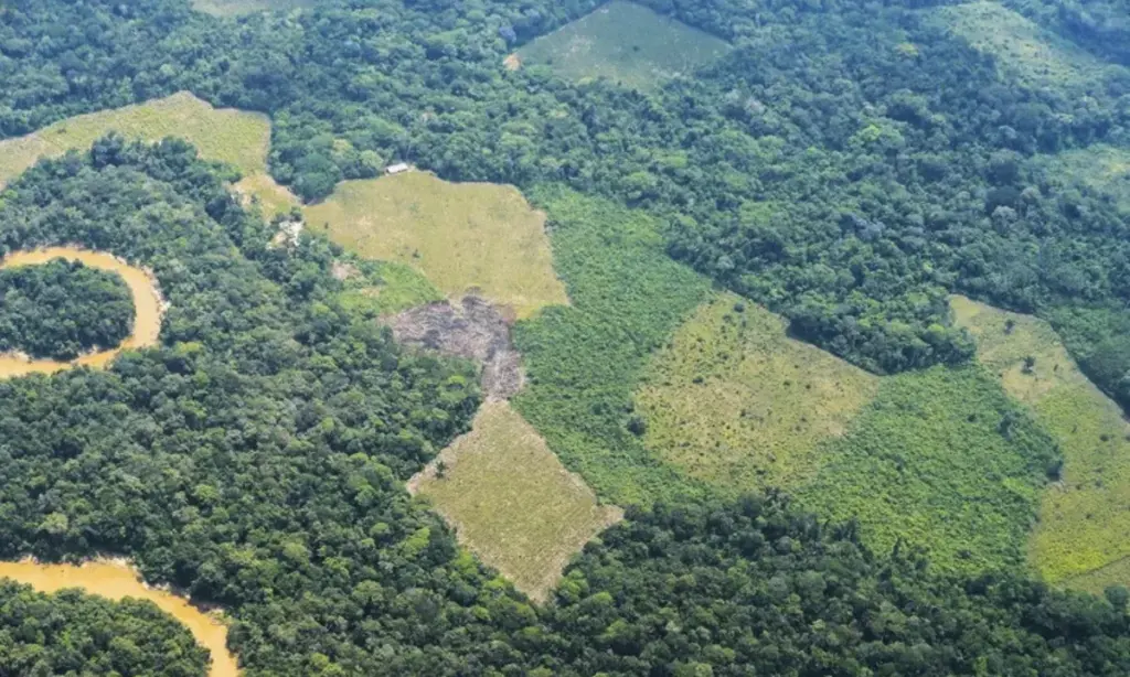 Amazon Deforestation