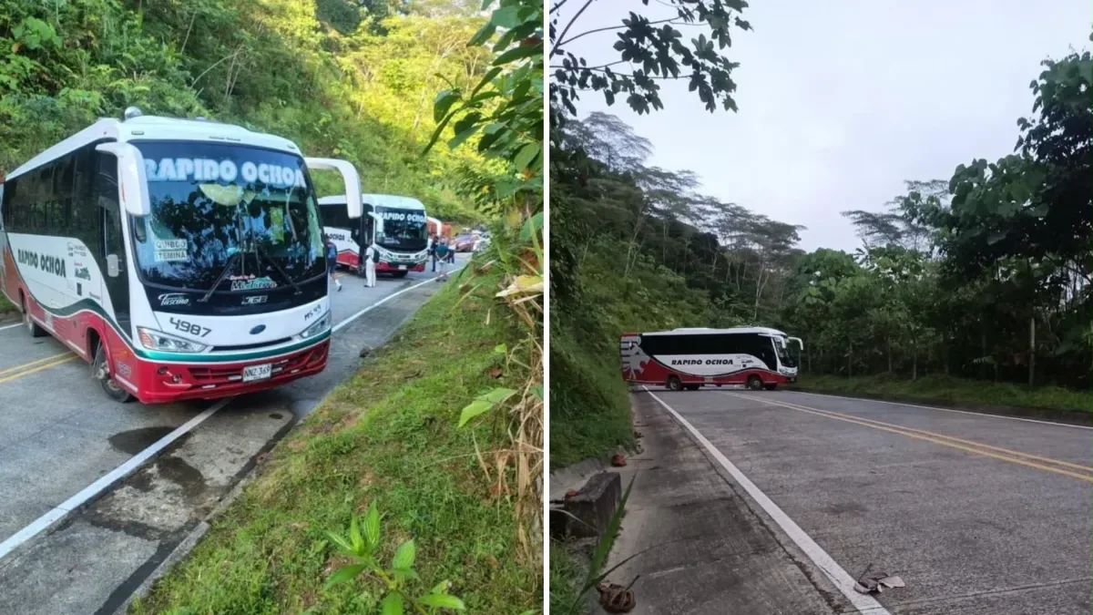 Fuerzas Militares reportan la liberación de los 39 civiles secuestrados por el Eln en Chocó