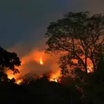 Incendios en Colombia hoy lunes 31 de agosto: emergencia en Buga por focos que se propagan rápidamente; De La Espriella anunció ayudas para afectados
