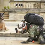 Urko, el perro que se despide del Ejército y se va a casa con su guía después de siete años de rescates