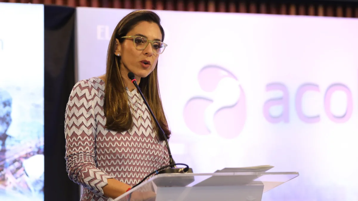'We do not know if there will be shortages', Colombia enters El Niño with a firm energy deficit: warns Acolgén