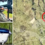 Fuerza Aérea anuncia que localizó restos de avioneta desaparecida en ruta Condoto-Guaymaral: fotos del lugar donde impactó aeronave con 5 pasajeros