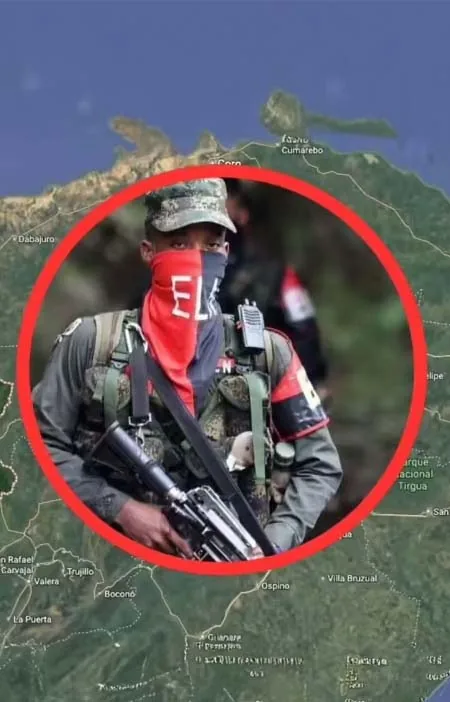 Eln