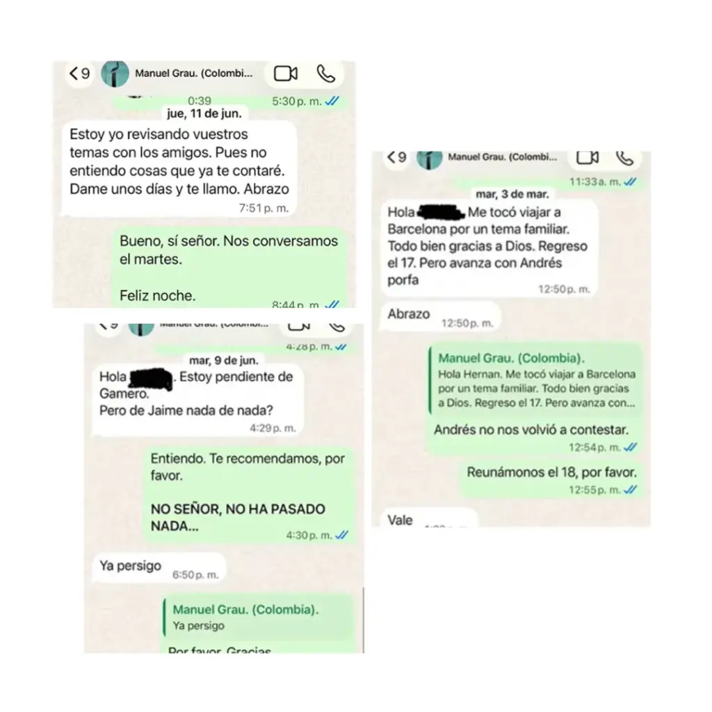 Chats Grau