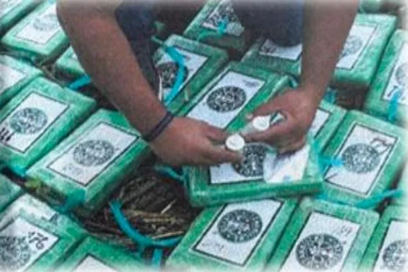 The cocaine seized from the organization.