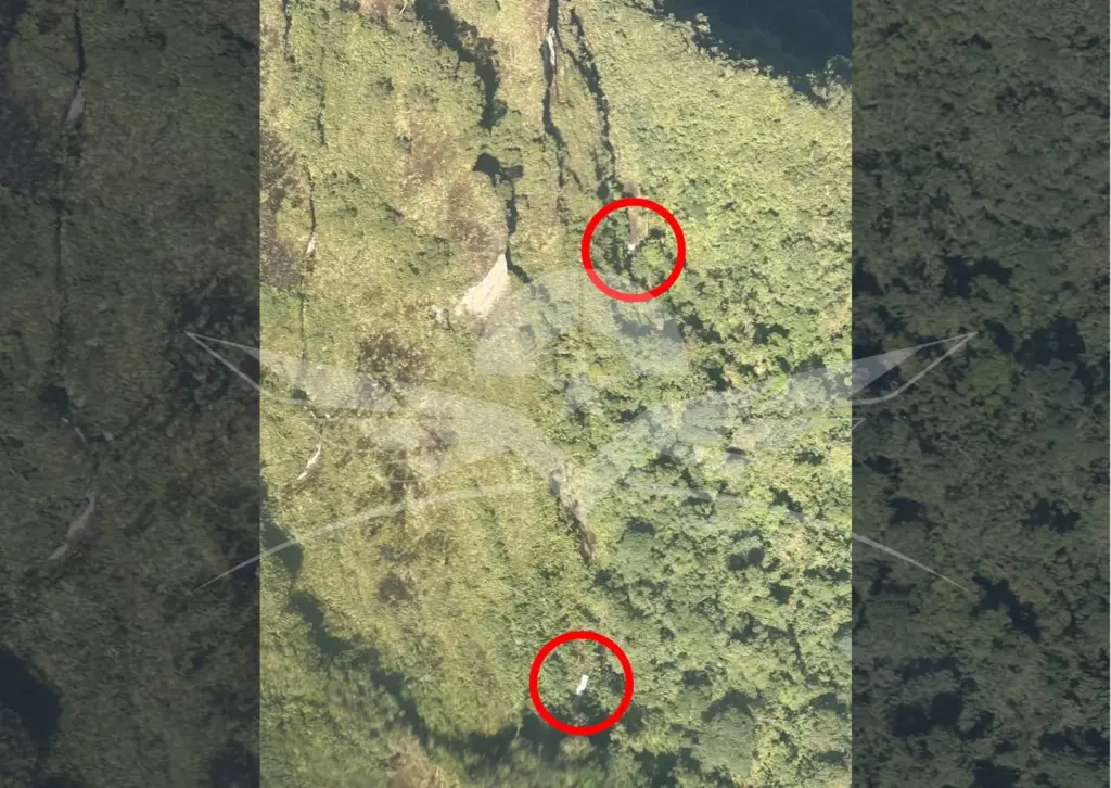 La entidad entregó información sobre el paradero de la aeronave que se trasladaba con un piloto y cuatro pasajeros